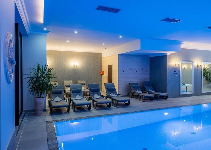 Paryski Art&Business - Basen Jacuzzi Sauna Małpi GajHotel Zakopane